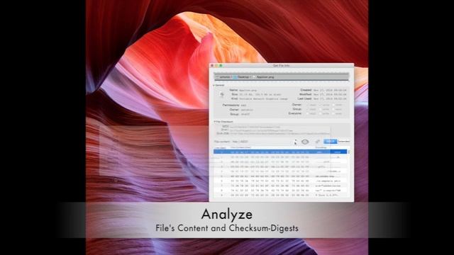 Get File Info - App Preview