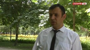 ДАРАХТИ ПАВЛОВНИЯ ДАР ТОЧИКИСТОН