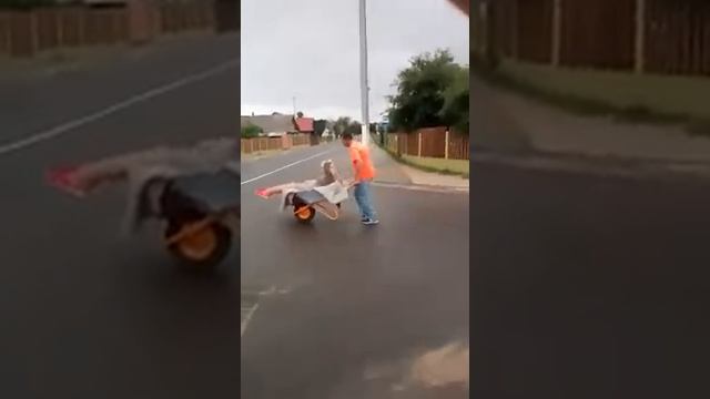 Кум куму в магазин везёт. смотреть онлайн