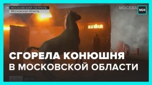 В столичном регионе сгорела конюшня - Москва 24