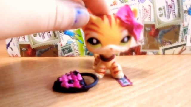 Мои самодельные аксессуары для LPS.(Одежда).