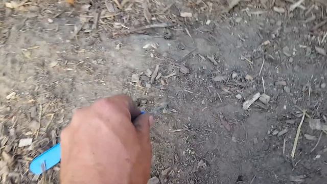 Preventing Pig Escapes With Electric Fencing смотреть онлайн