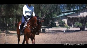 Очень красивый клип про лошадей!