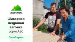 Вагонка из кедра, новая партия на нашем складе