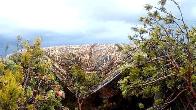 ОХОТА НА ГУСЯ 2021. ПРОВАЛ ГОДА,. ЗА СВОИ ОШИБКИ ПОПЛАТИЛИСЬ ДОЛГОЖДАННЫМИ ТРОФЕЯМИ!!! смотреть онлайн