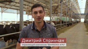 Рыбновский район. Сельское хозяйство