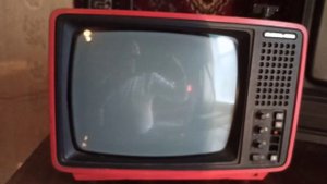 Переносной телевизор Юность-406Д