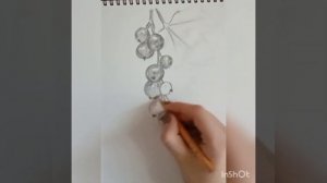Рисуем простым карандашом.Ветка смородины