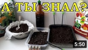 4 способа ОБЕЗЗАРАЗИТЬ ПОЧВУ для рассады ???