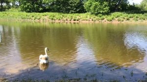 база отдыха Солнечный остров. Волгоград