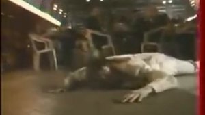 Веселкин и Гаркуша