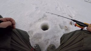 Бешеный клев окуня в глухозимье. Рыбалка на Каме