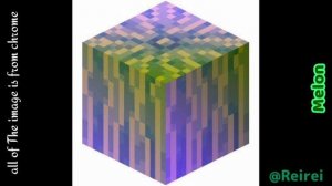 1 Bit 2 Bit 4 Bit 8 Bit 16 BIT 32 Bit 128 Bit 256 Bit 512 Bit 1024 Bit 2048 Bit 4096 Bit 8192 Bit