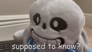 Sans Takes an Exam