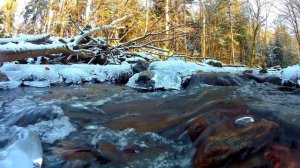 Феномен замедленного времени. Случай в пригороде Пайгуано бросает вызов современной физике