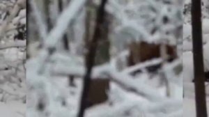 "Уральский Охотник" - канал об охоте и рыбалке