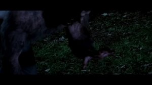 Werewolf Transformation scene from Dense Fear Bloodline