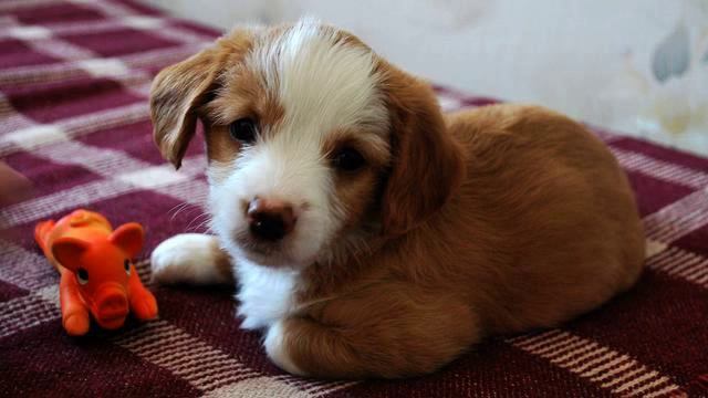 Слушать свежую русскую песню для сна 2015 смотреть онлайн