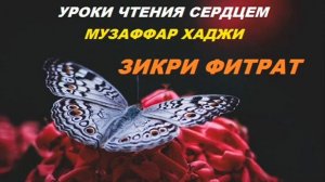 CУФИЙСКОЕ УЧЕНИЕ. 4-я ступень. МУЗАФФАР ХАДЖИ УСМАНОВ.
