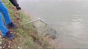 На что ловится форель на Озерах Адыгеи