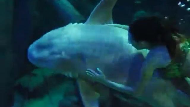 Русалка с акулой Няшей смотреть онлайн