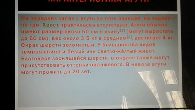 Агути. Факты смотреть онлайн