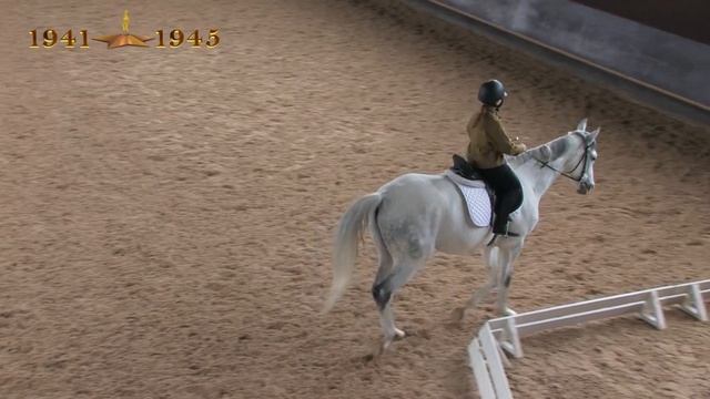 2018. День Победы в Конно-Спортивной школе Петербурга смотреть онлайн