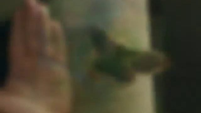 Лазаревское отдых 2016 год смотреть онлайн