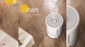 Xiaomi deerma humidifier Увлажнитель Воздуха RisoFan / РисоФан