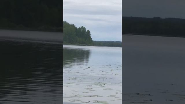 Рыбалочка на озере Куйто смотреть онлайн