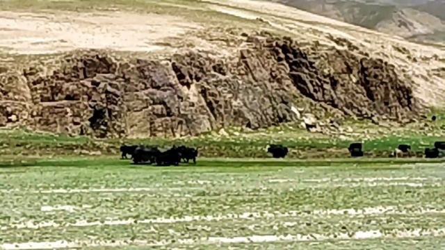 Кыргызстан: Барскоон, перевал Сёёк, Ашуу Суу, Кара Сай, Бедел, Ак Шыйрак.