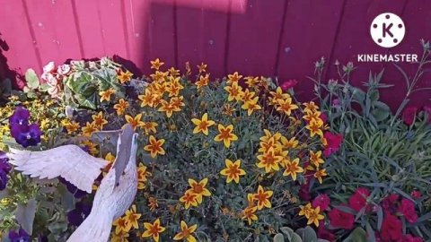 Сибирь. Прогуляемся по деревенскому двору без слов, с хорошей музыкой.