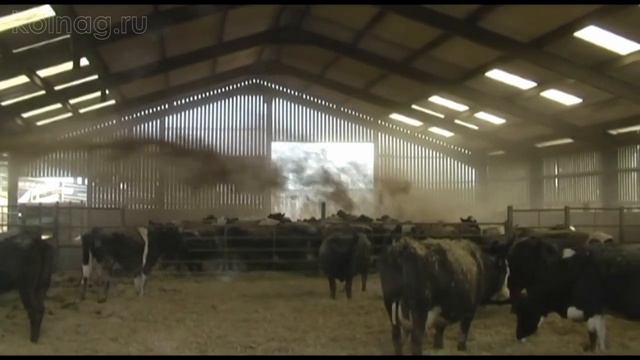 Кормоизмельчители Колнаг, кормодробилки. Измельчитель корма. Как сделаем солому на подстилку смотреть онлайн