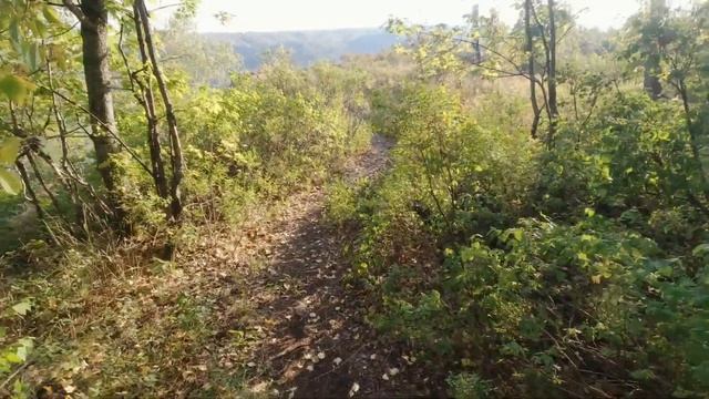 Фотоохота с Альбертом.  Нугушское водохранилище. Национальный парк "Башкирия".