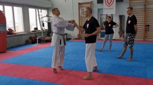 Uke Waza Technique Техника Уке Вадза