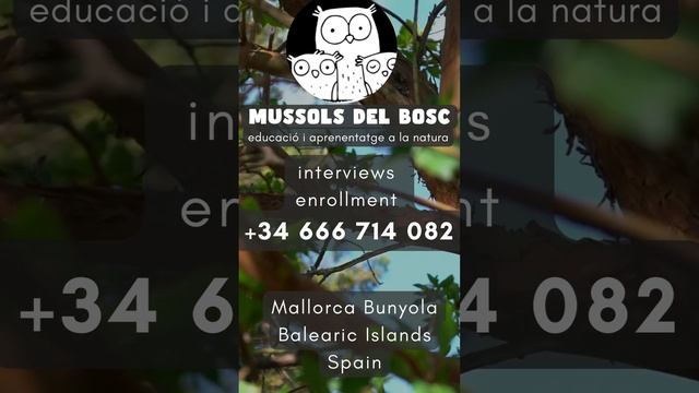 LAST TRIMESTER Mussols del Bosc play and learn in nature  #bunyola #mallorca #forestschool