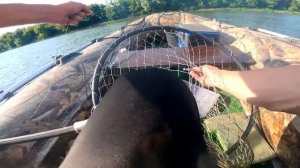 Как искать хищника на реке летом без эхолота