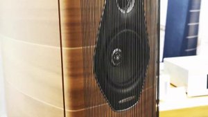 Sonus faber Olympica Nova sound check