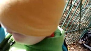 Веселый Ослик))🐴🐴🐴🤪