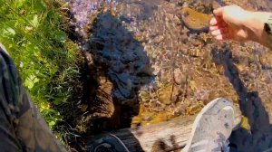 Бурятские Девушки носили монеты на груди и голове!Ищем что они потеряли.Поиск монет в Сибири.коп202