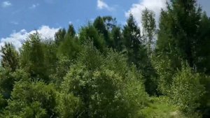 Лесогорск 8.06.2021.
