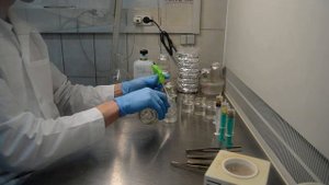 введение в культуру in vitro этап 4 приготовление стерилизующих растворов и стерилизация