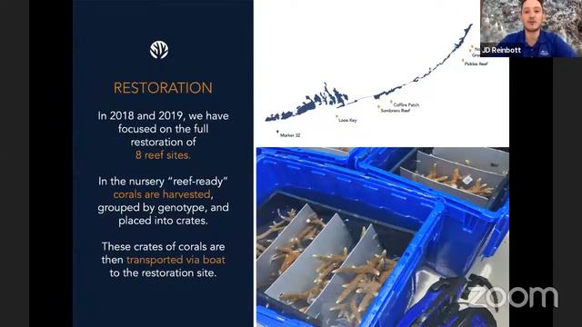 Diving into the World of Coral Restoration смотреть онлайн