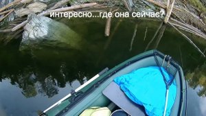 Где живёт щука?