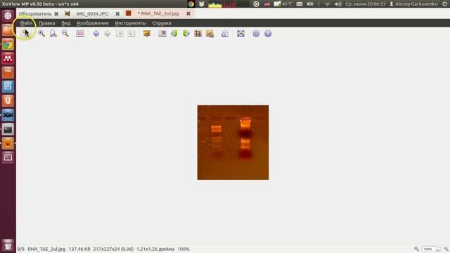 XnViewMP - просмотр и редактирование изображений смотреть онлайн