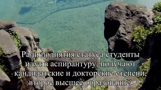 Статус как символ силы  — Статья
