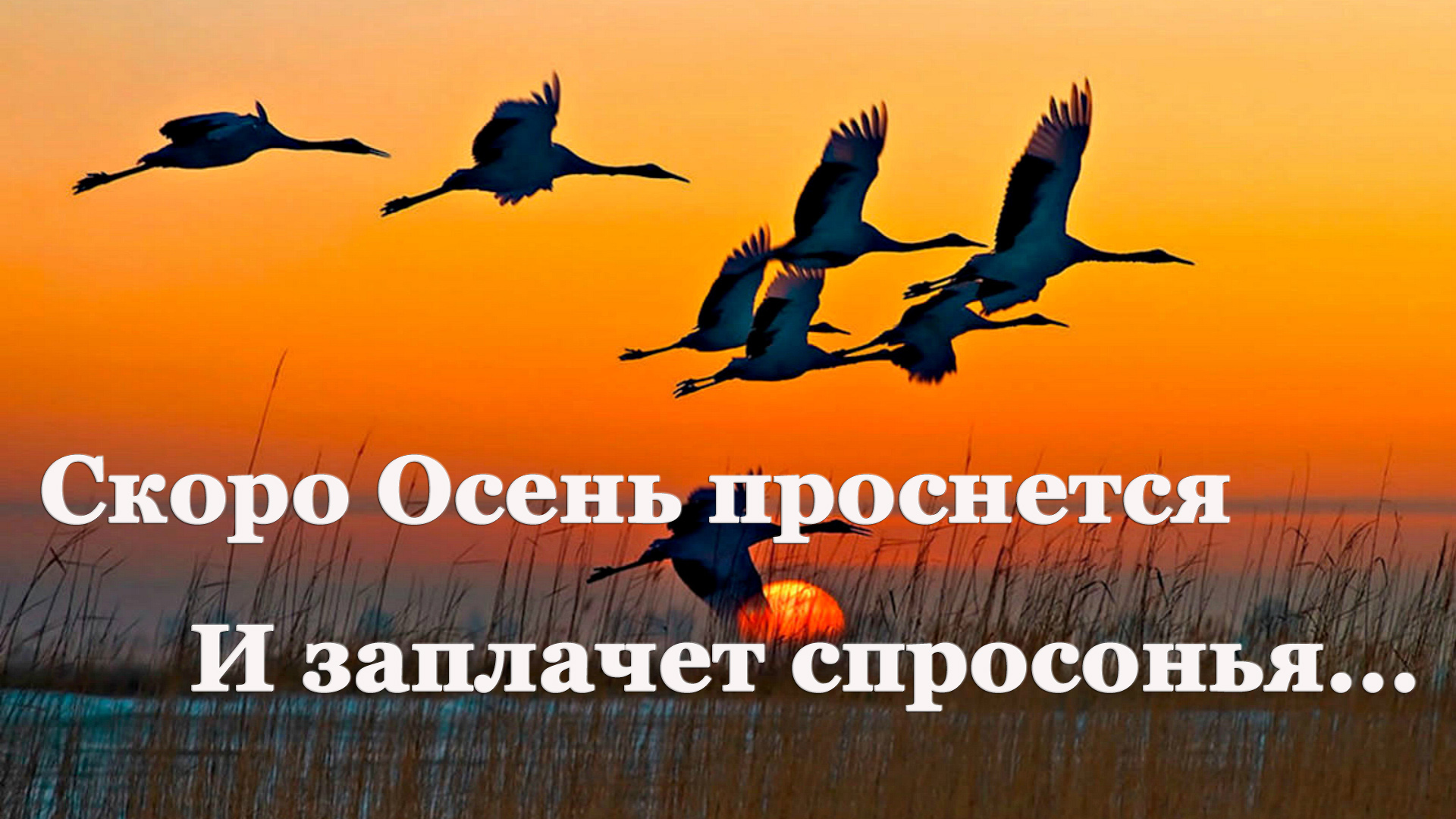 🍂 Константин Бальмонт. Осень| Стихи о природе поэтов 20 века