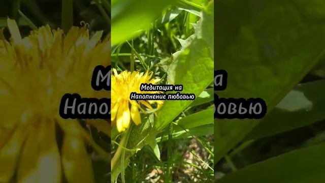 Медитация на наполнение безусловной любовью #медитация #любовь #безусловнаялюбовь #энергия #жизнь
