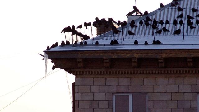 Весна наступила. Исполняет автор стихов и музыки Николай Саллас