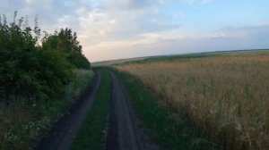 ?Поездка на природу и ПРОХВАТ ПО ПОЛЯМ!! Атмосферная покатушка на мопеде Альфа